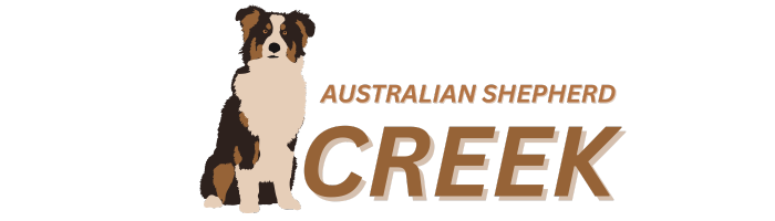 Australian Shepherd Creek